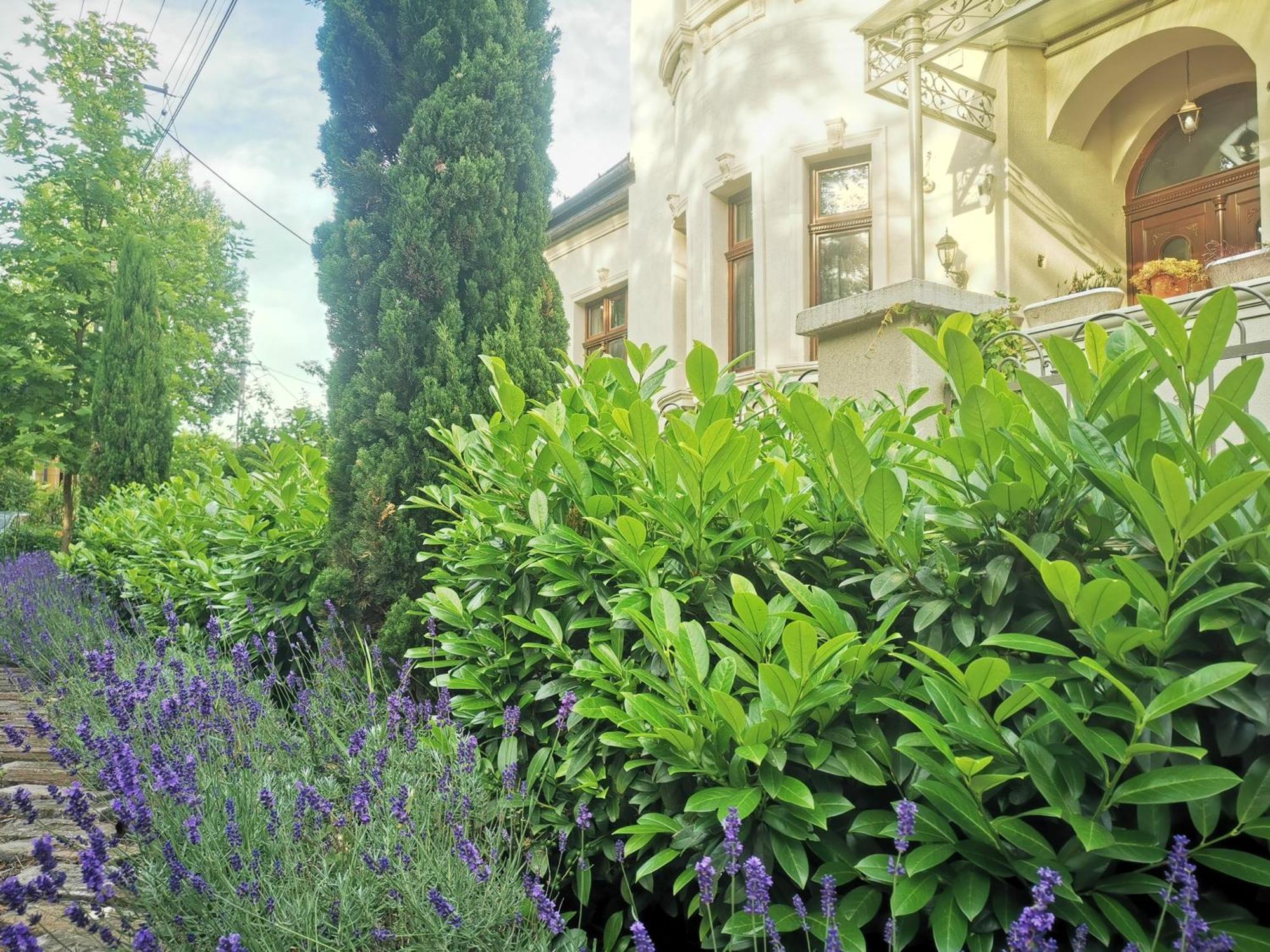 Kuria Apartman With Private Jacuzzi And Pool Budapest Exterior photo